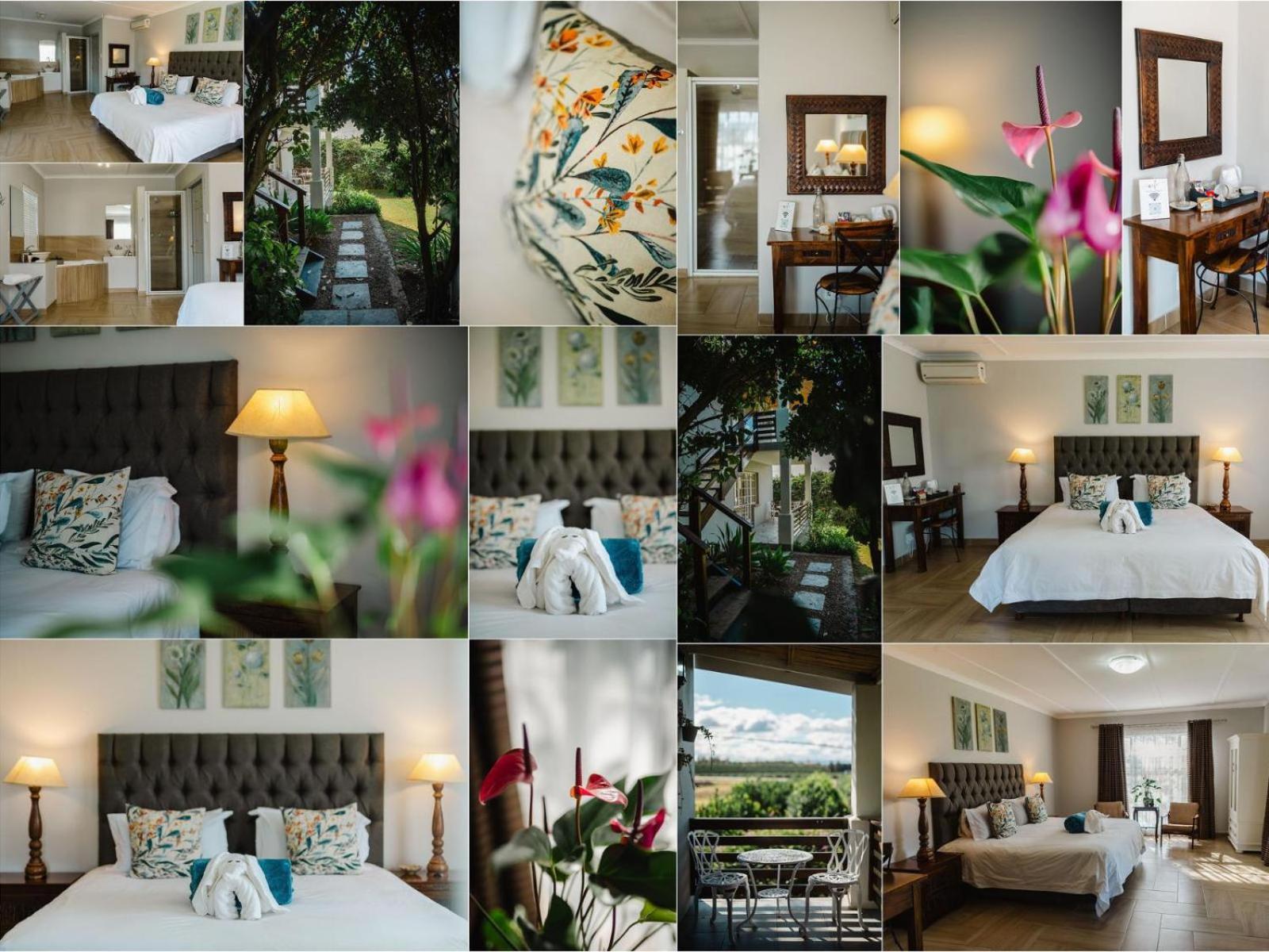Hopefield Guesthouse-Addo Rum bild